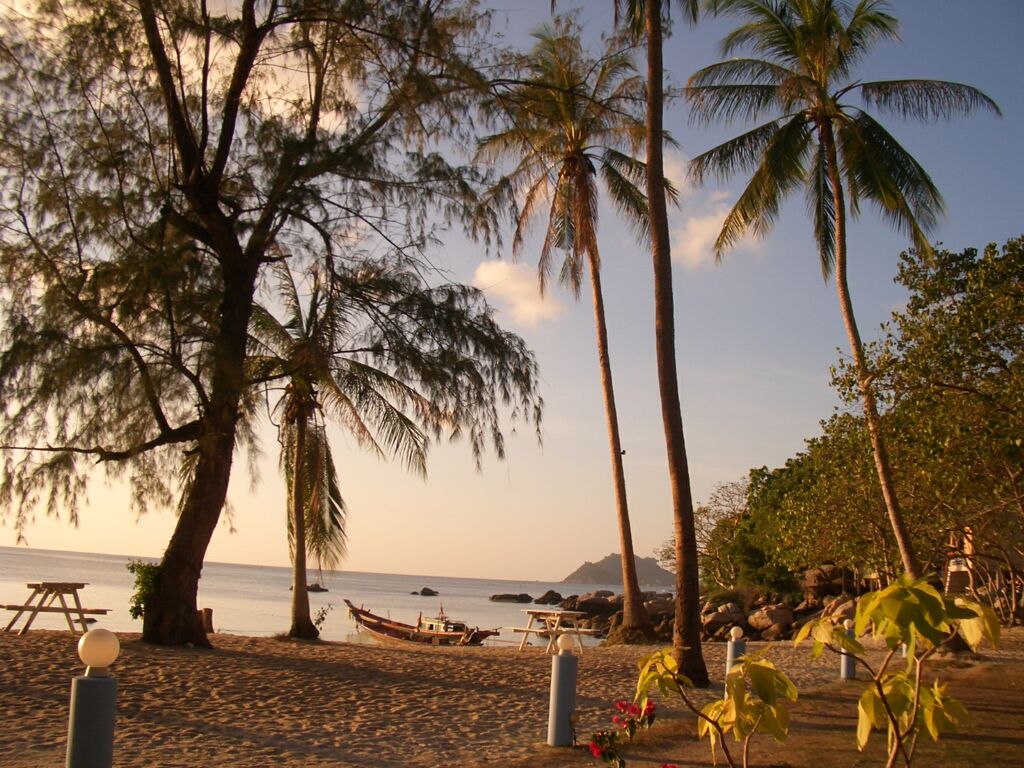 Click to See Next Image